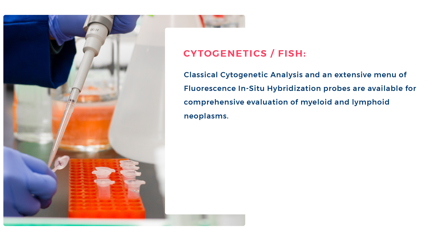 hematopathy_carousel4