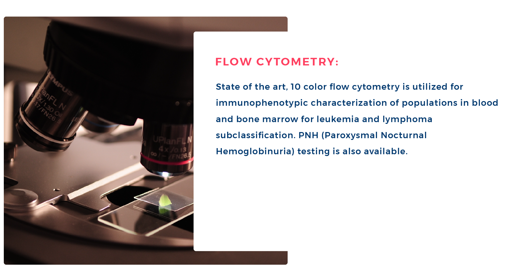hematopathy_carousel5