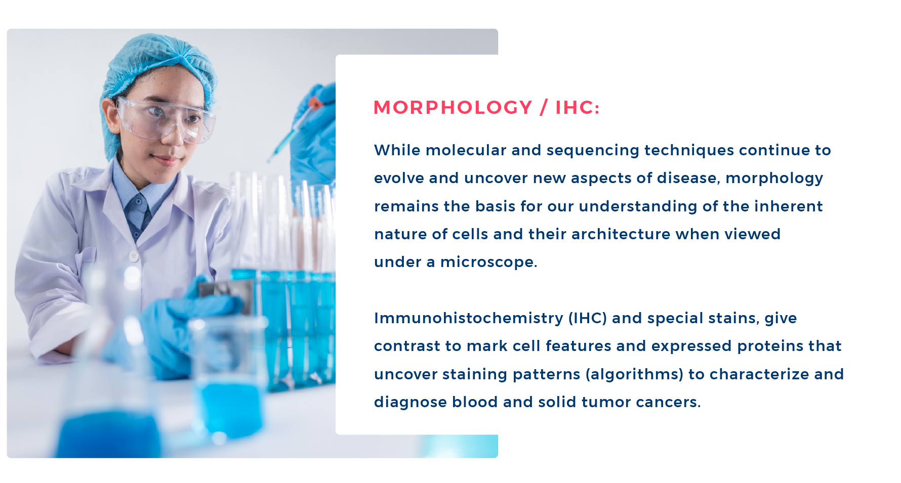 hematopathy_carousel7